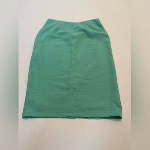 Tobi Mint Green Pencil Skirt with Back Zipper-XS